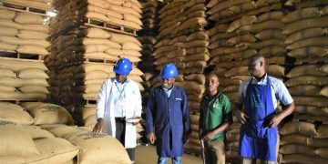 Uganda’s Top Coffee Billionaire Companies Named. See How Much They Sell Abroad